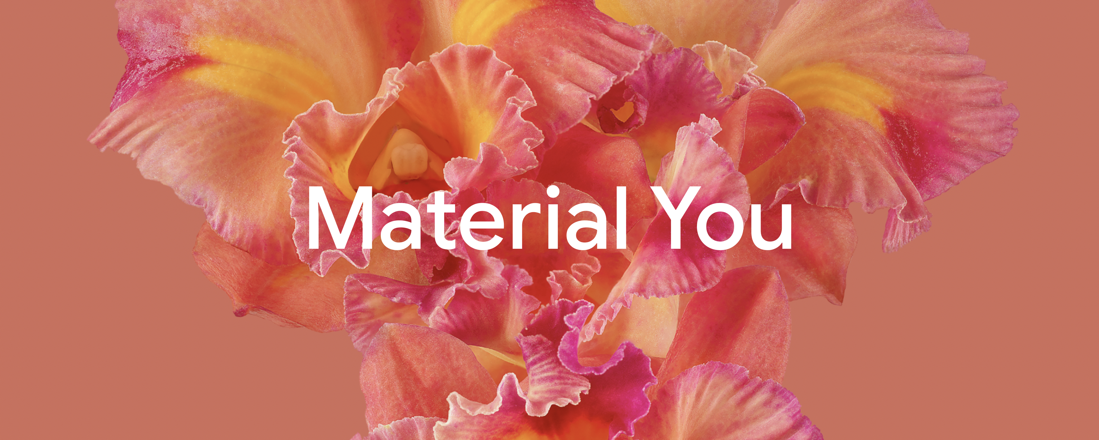 → Material You